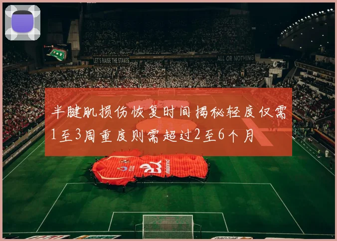半腱肌损伤恢复时间揭秘轻度仅需1至3周重度则需超过2至6个月
