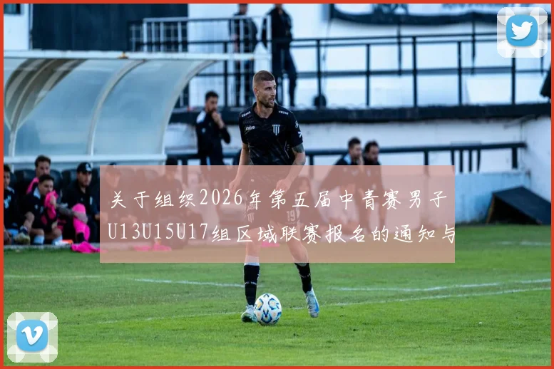 关于组织2026年第五届中青赛男子U13U15U17组区域联赛报名的通知与要求